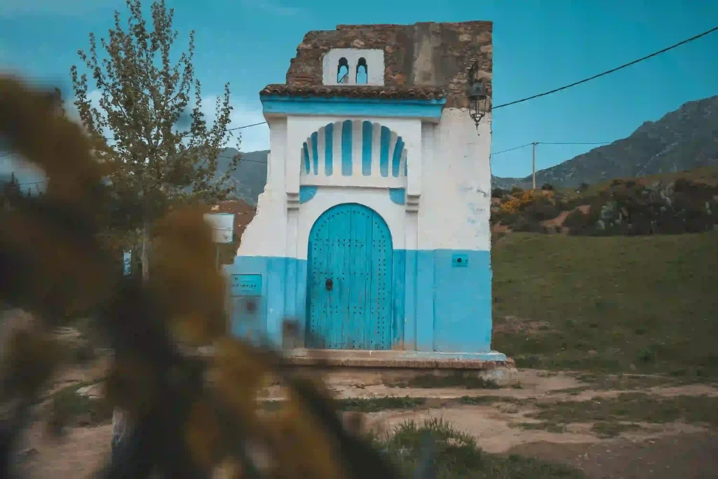 House, nature, blue