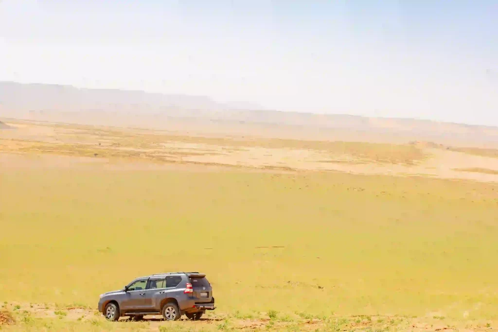 Sahara, Desert, Cars, Camel