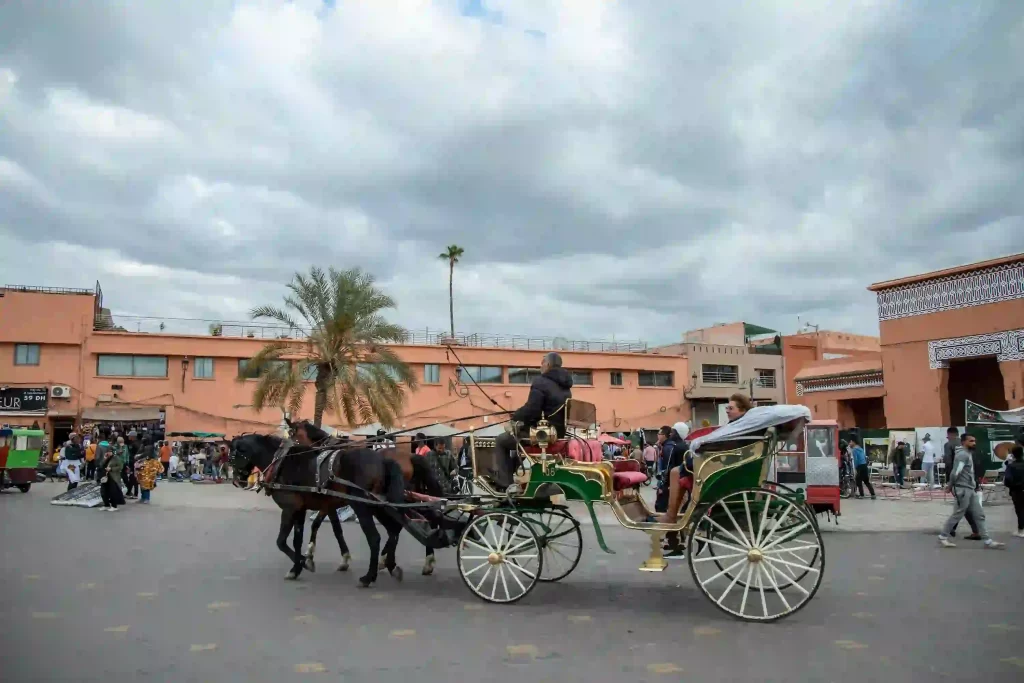 tour with Kouchy in Jemaa el-Fna